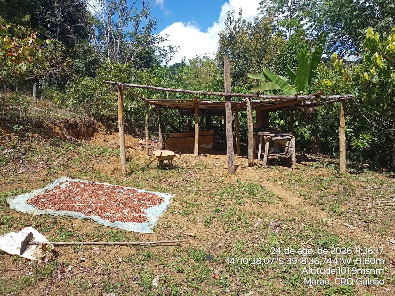 Atuação em campo: INPAC destaca missão técnica no Território Quilombola de Terra Verde e Minério em Maraú (BA) — registro fotográfico 13