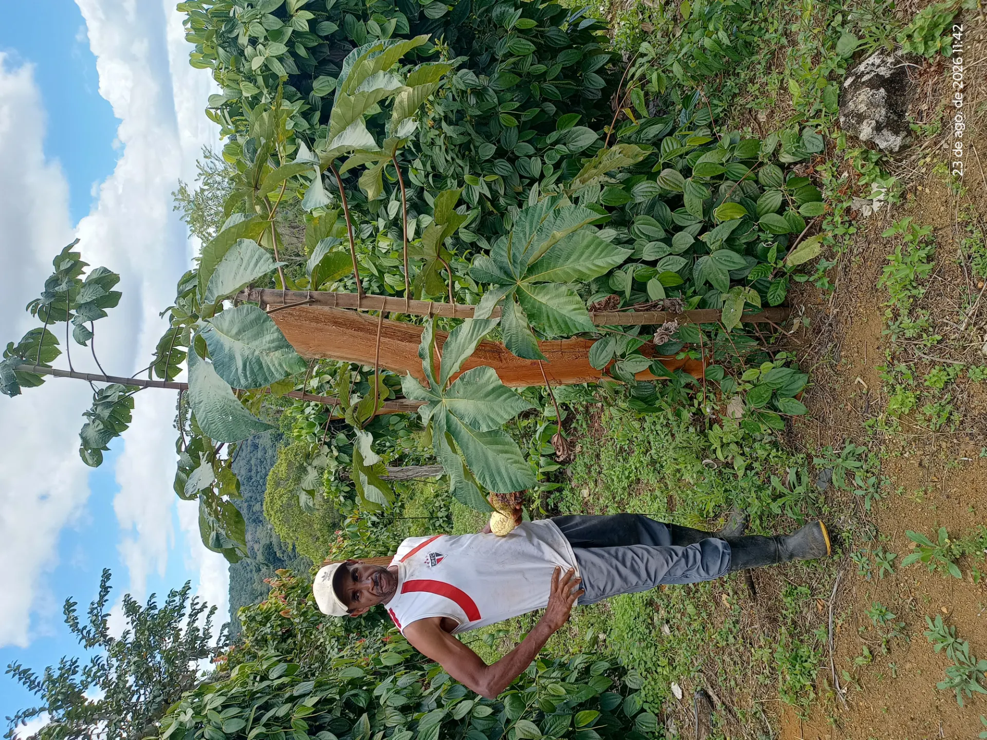 Atuação em campo: INPAC destaca missão técnica no Território Quilombola de Terra Verde e Minério em Maraú (BA) — registro fotográfico 7