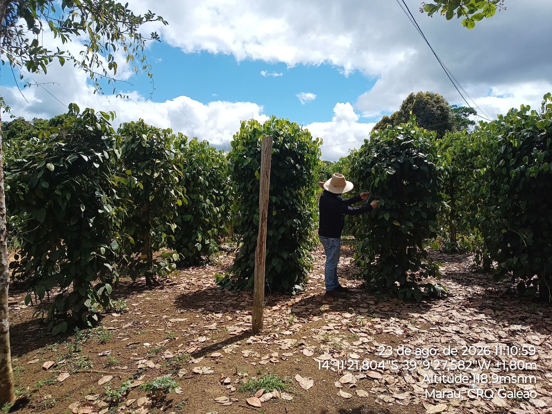 Atuação em campo: INPAC destaca missão técnica no Território Quilombola de Terra Verde e Minério em Maraú (BA) — registro fotográfico 11