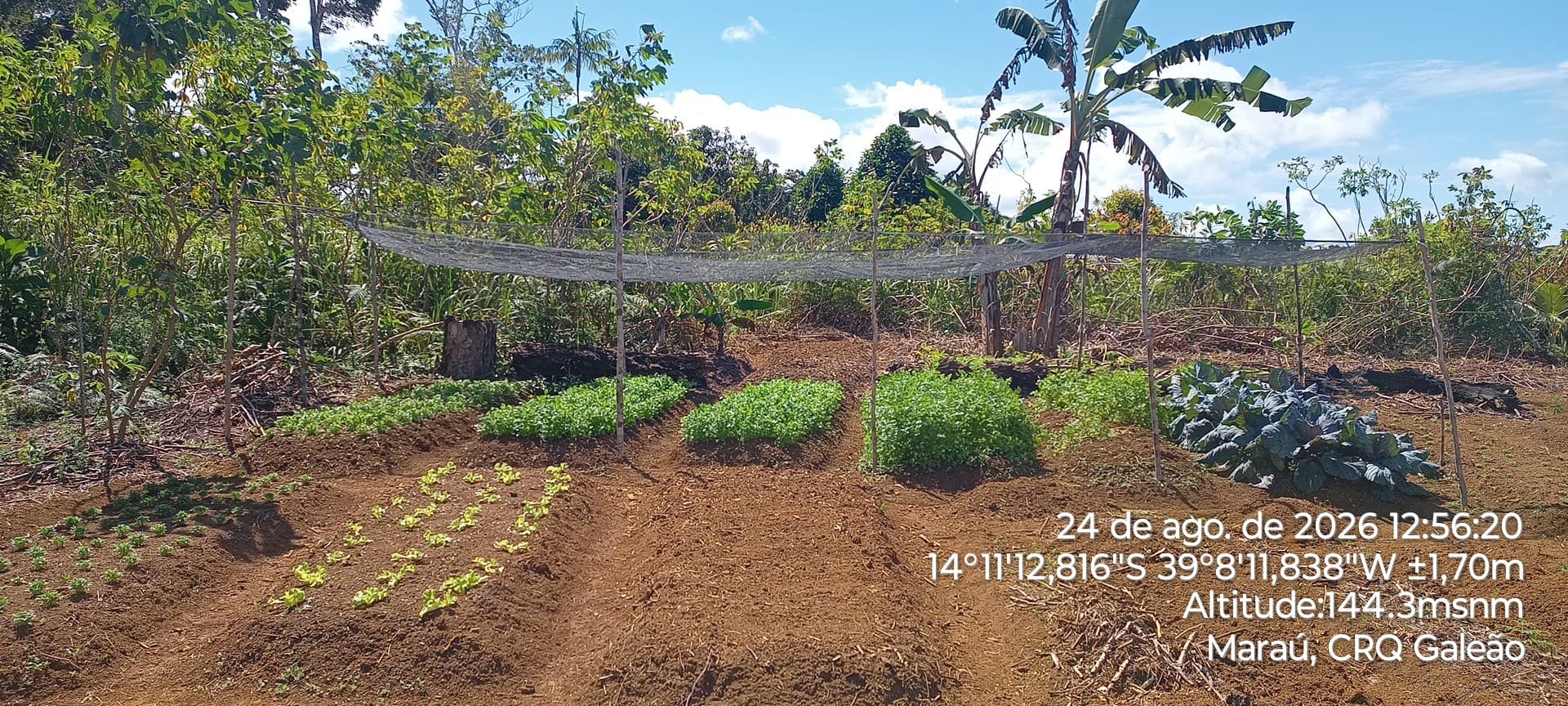 Atuação em campo: INPAC destaca missão técnica no Território Quilombola de Terra Verde e Minério em Maraú (BA) — registro fotográfico 14